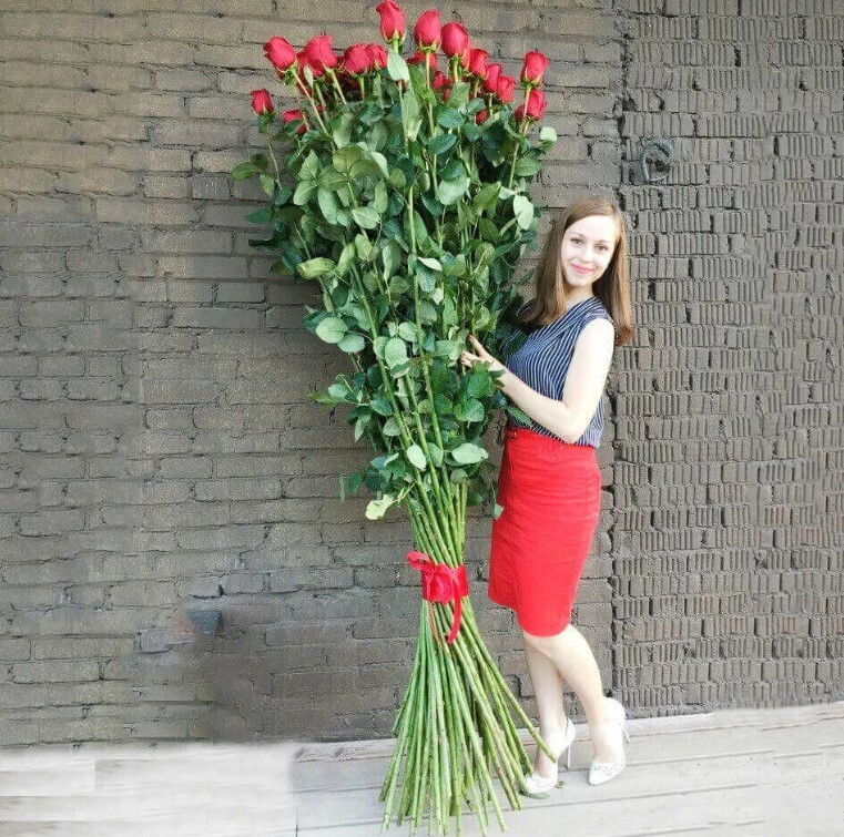 51 роза 2 метра Розы гиганты 2 метра